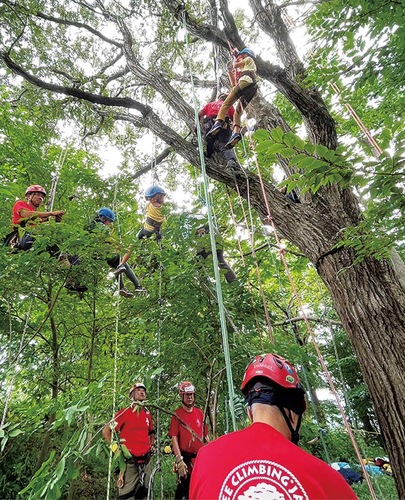 自然の中でたくましく