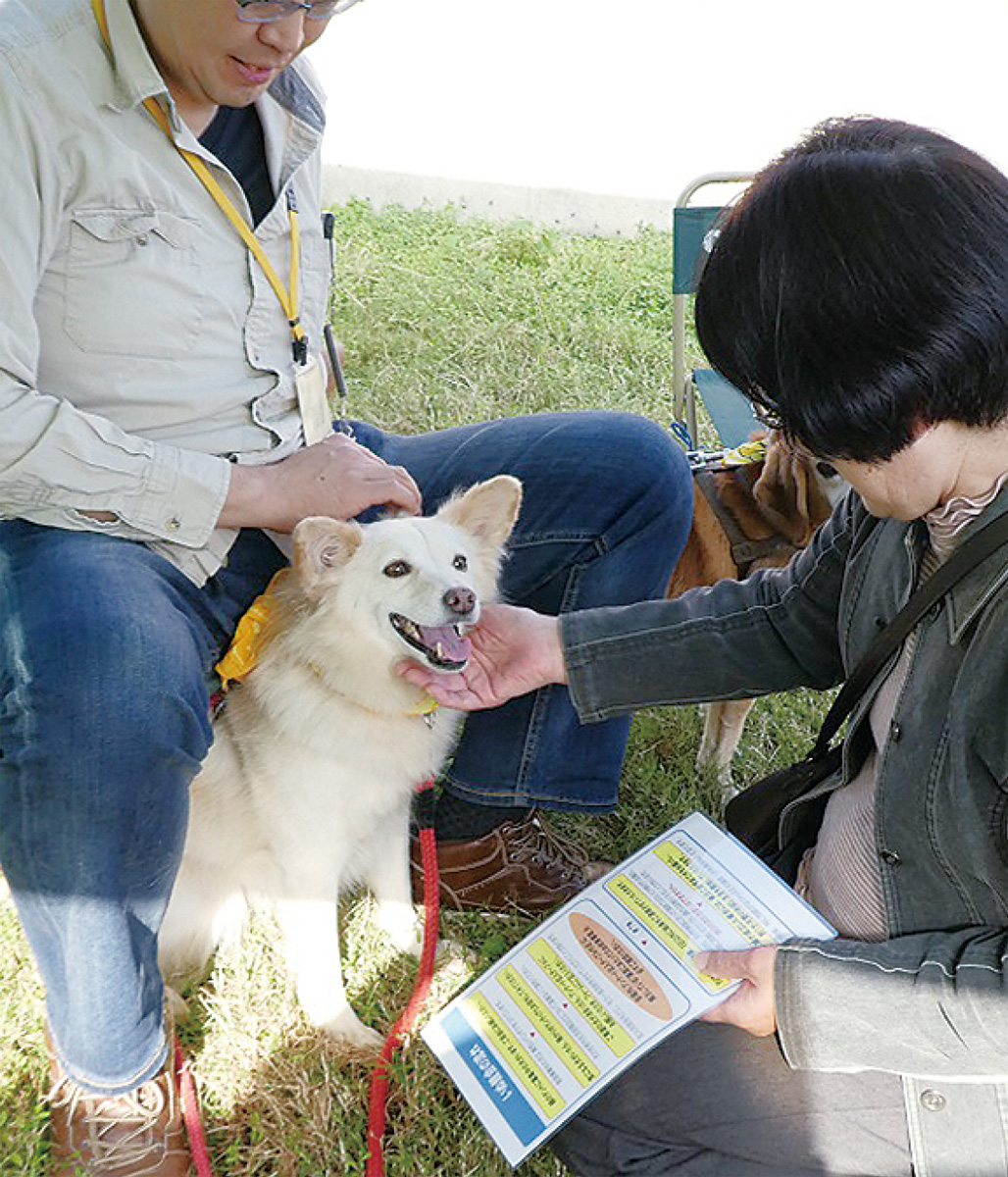 14日、宇津木町で犬の譲渡会