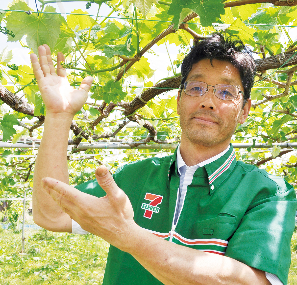 セブン店主 ぶどうを生産、直売 地元で評判 8月店頭に | 八王子