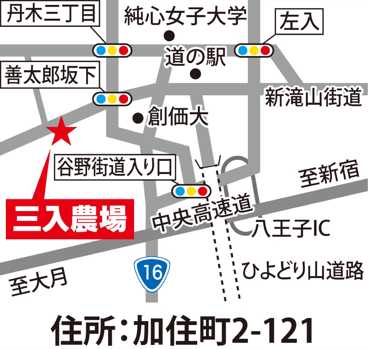 手ぶらでタケノコ堀り (写真1)