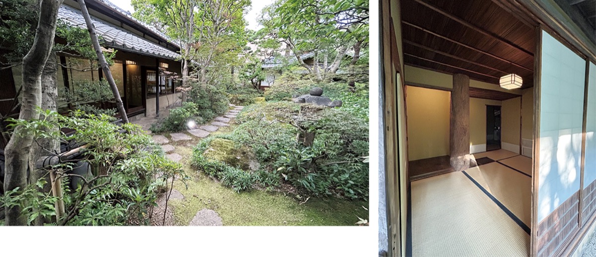 風情のある茶室(右)と露地