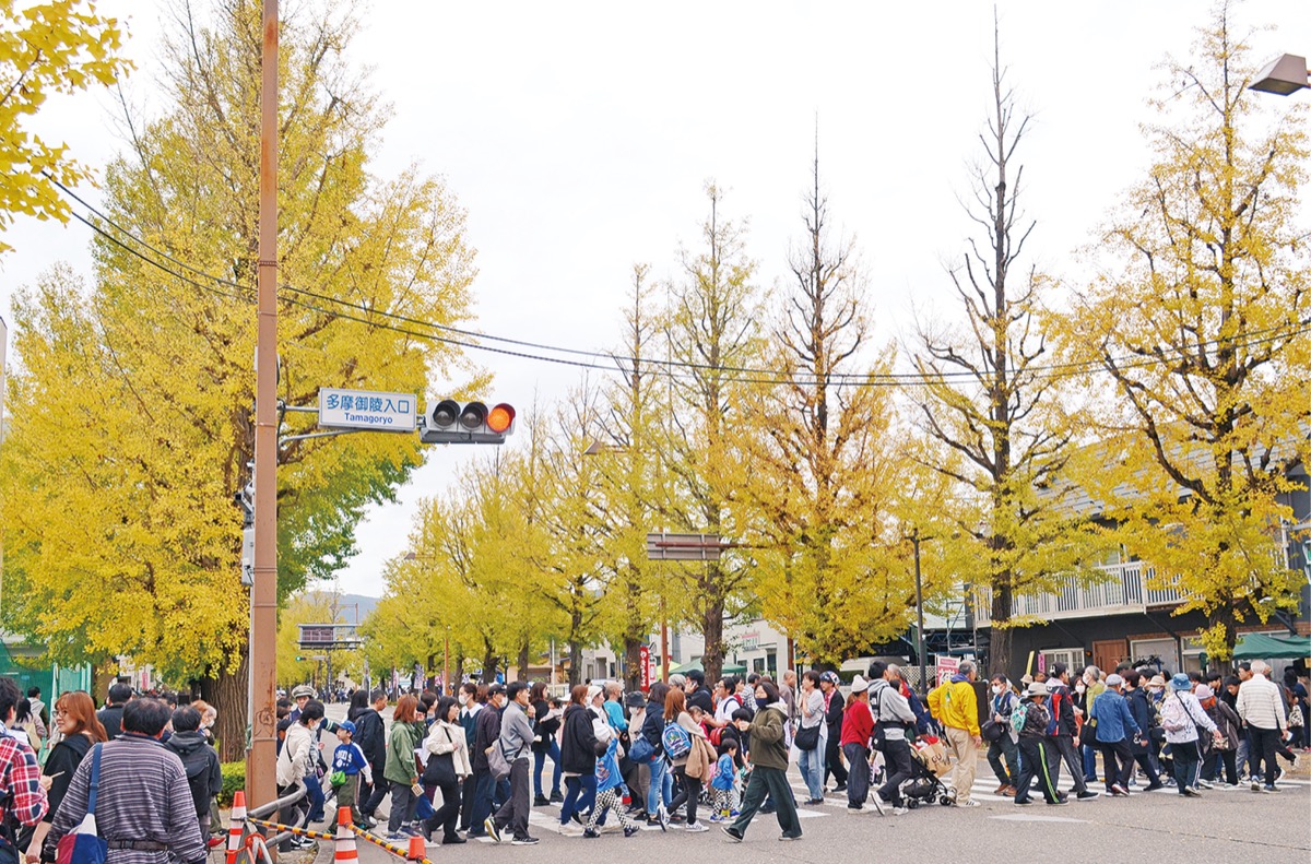 黄葉の甲州街道を楽しむ