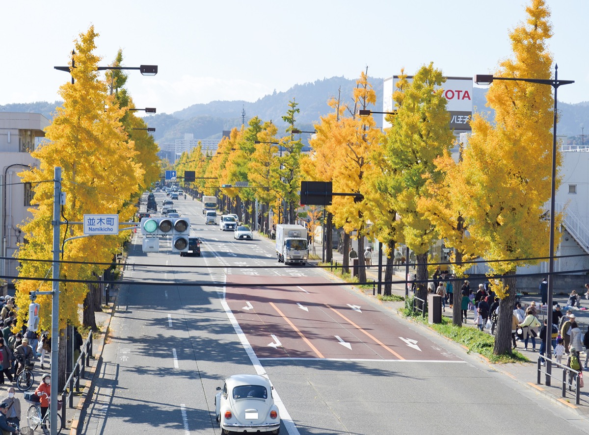 色づく甲州街道に43万人
