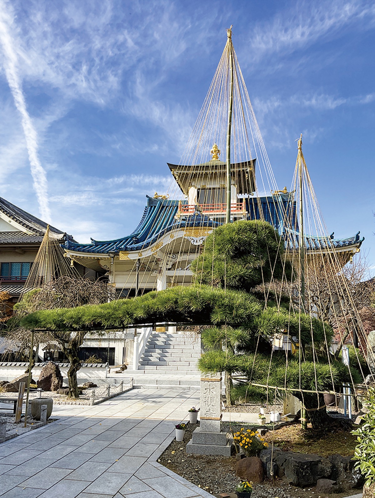 信松院 庭園で冬支度