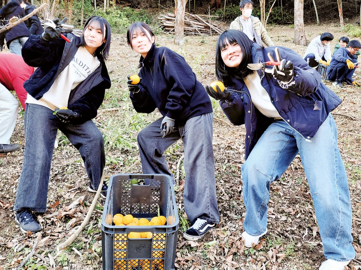 獣害阻止し、動物守る