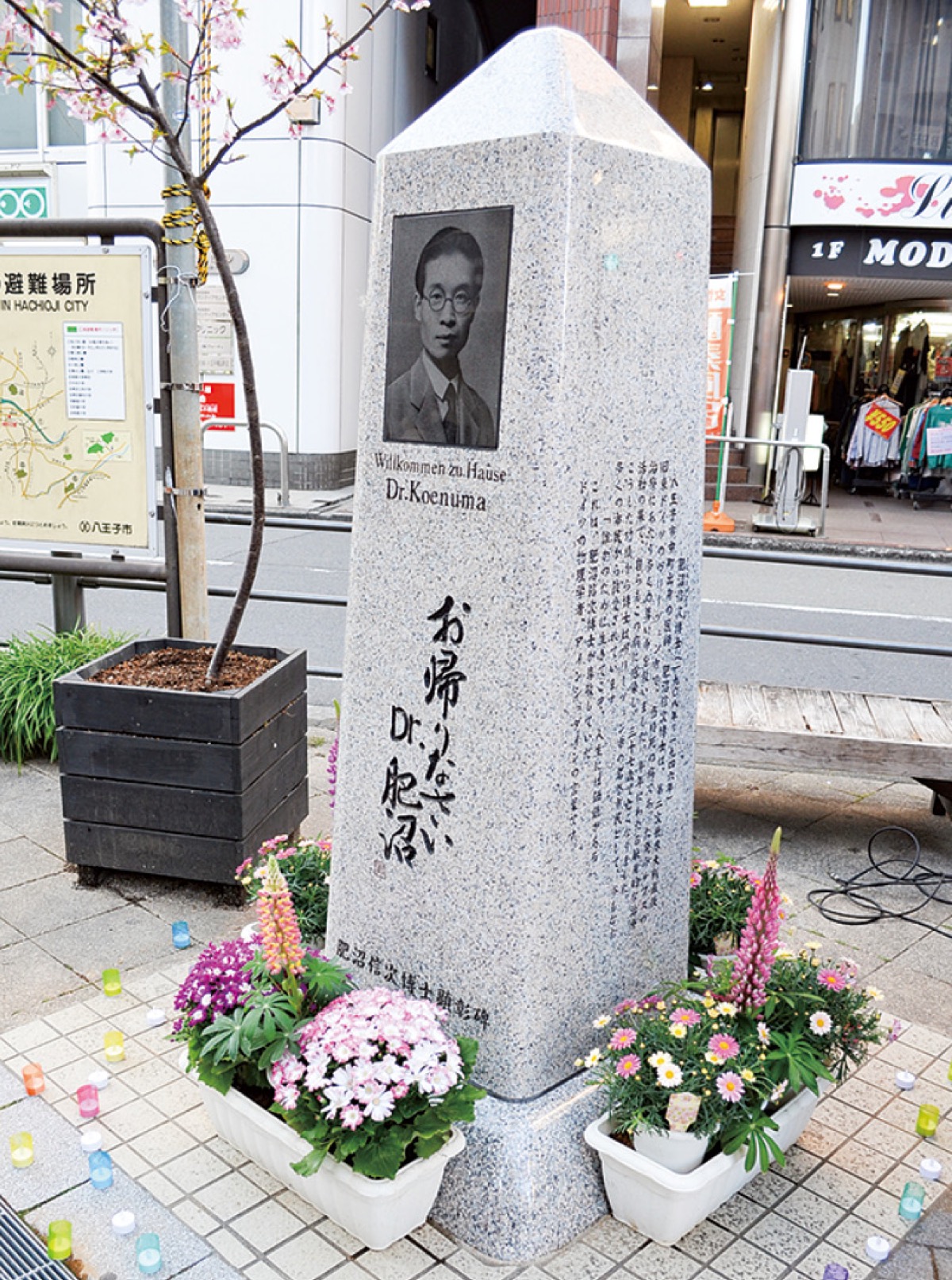 肥沼博士の顕彰碑