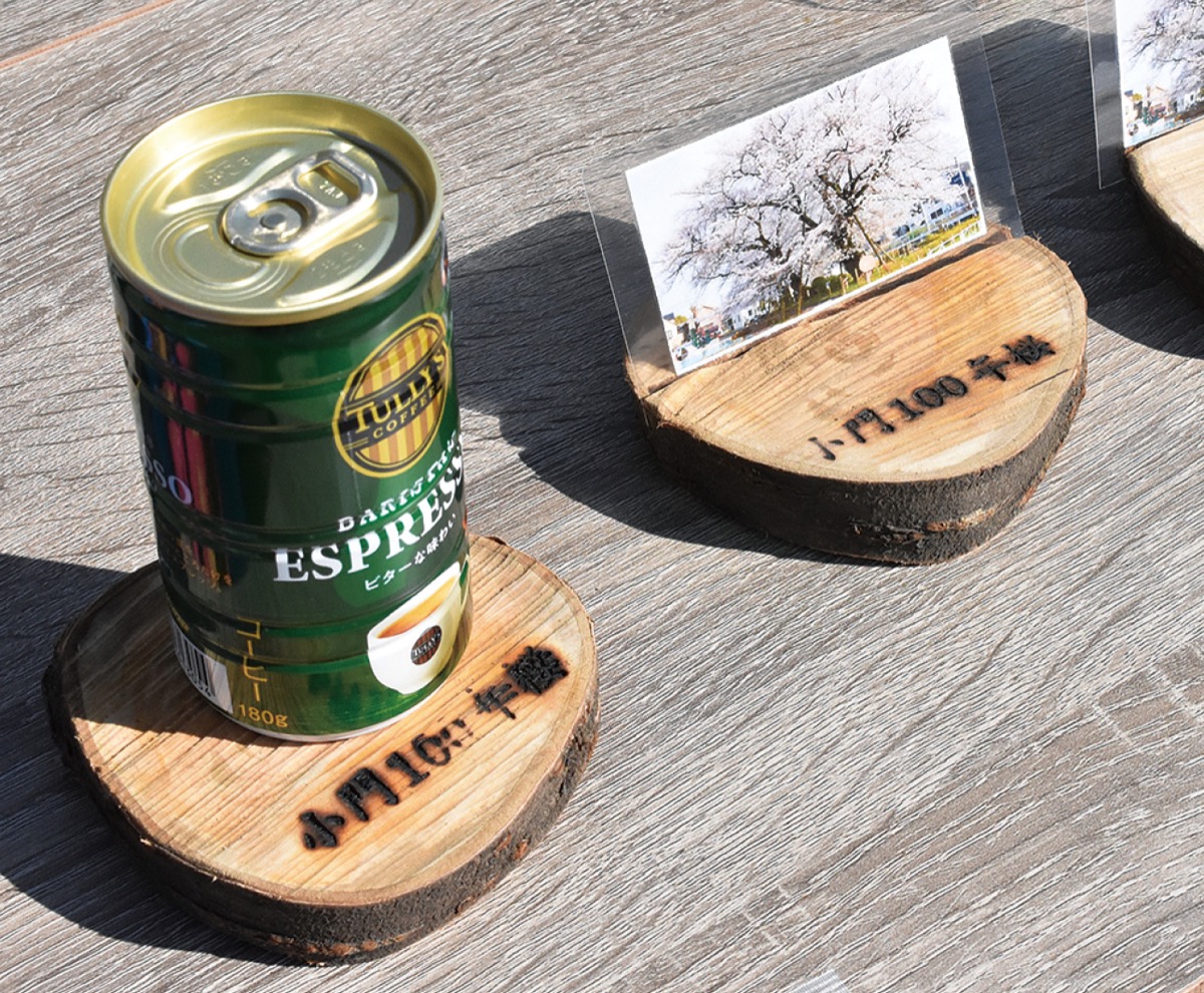 配られた朽木の輪切り