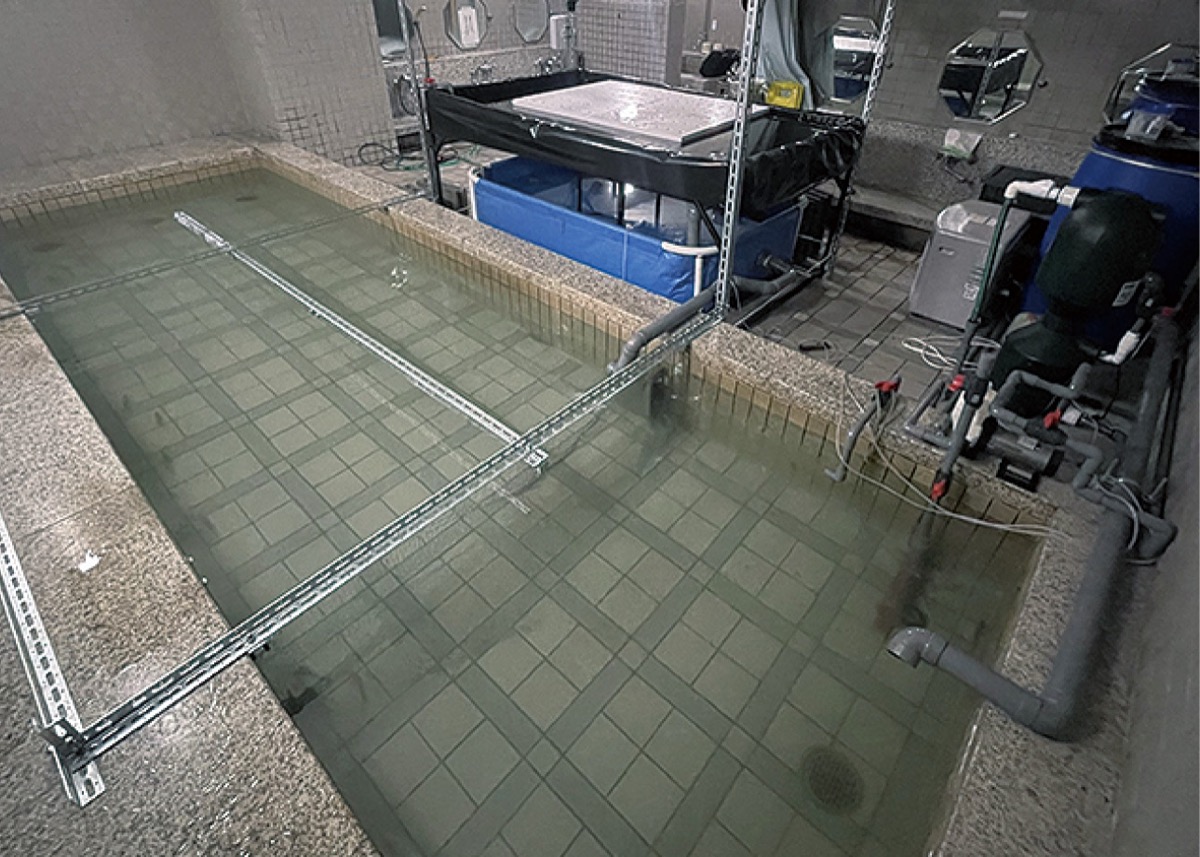 ホテル内の遊休施設に設置