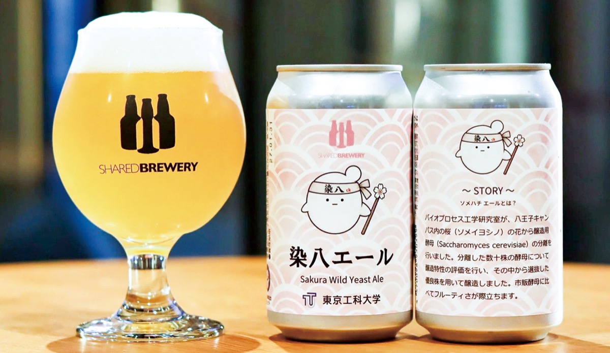 フルーティーな味わいの染八エール