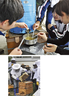 （上）採りたてのハチミツを味見をする生徒たち（右）巣箱から取り出す作業を見学