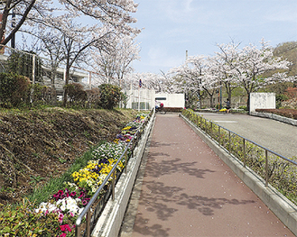 イベントを開催する多摩桜の丘学園
