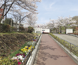 学校公開する多摩桜の丘学園