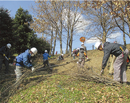 多摩市の自然、支える人育成