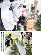 今年も濃厚・芳醇なハチミツに