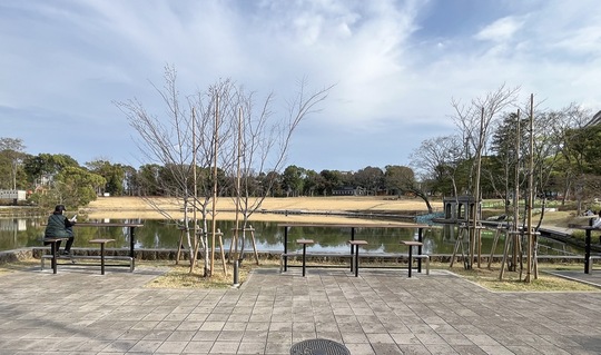 開園がせまる多摩中央公園