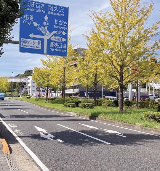 市の中心を走る多摩ニュータウン通り