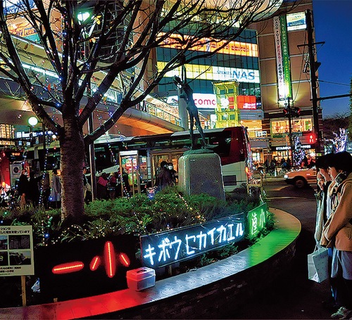 過去に行われた聖蹟桜ヶ丘イルミネーション