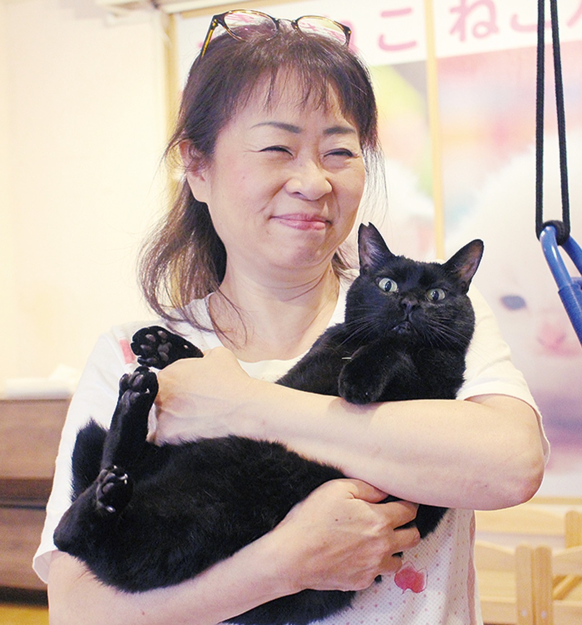 多摩市落合のｎｐｏ法人 高齢の人と猫を結びつけ 生活の糧に 猫の幸せにも 多摩 タウンニュース