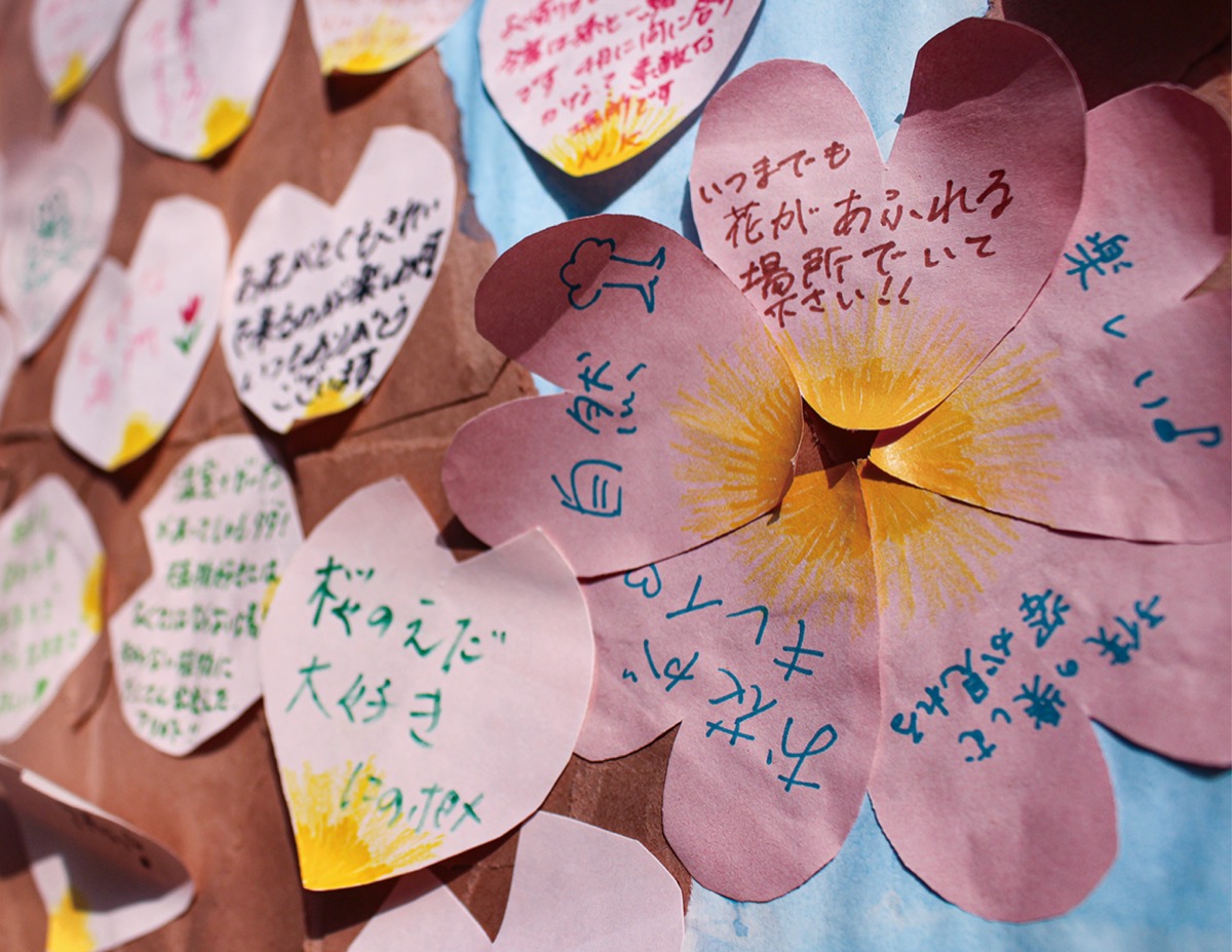 思いが込められた「花」の咲く「桜の木」