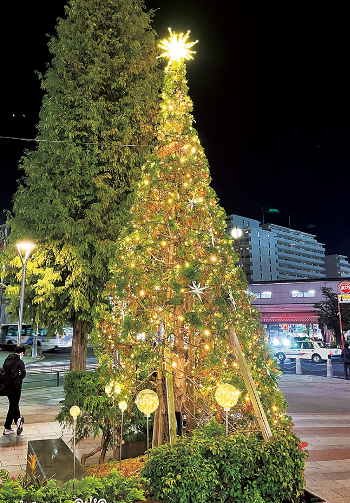 さくら広場でクリスマス
