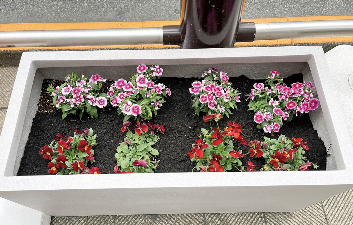 新しく置かれたプランター