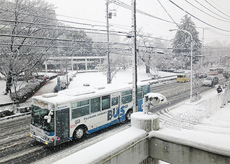 湿った雪が降り続いた　＝1月14日正午ごろ・大和市役所前