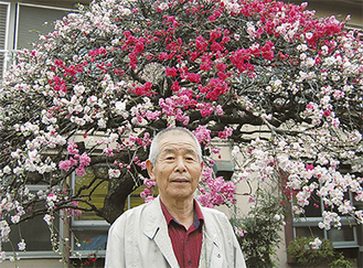 桃の木と小菅さん。４月初旬まで花を楽しめるという