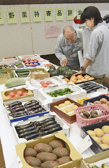 市内農家が生産した夏野菜が審査された