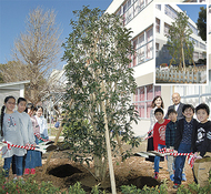 渋小に金銀の木犀