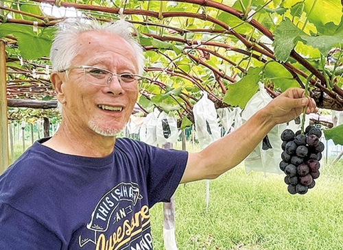 石井さんと栽培しているぶどう