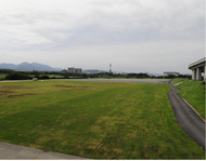 河川敷に緑の絨毯