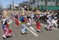 阿波おどりが50回迎える