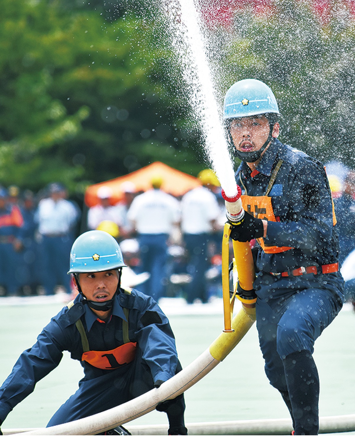 雄姿も 風物詩も 地域最大も 中止相次ぐ 大和 タウンニュース