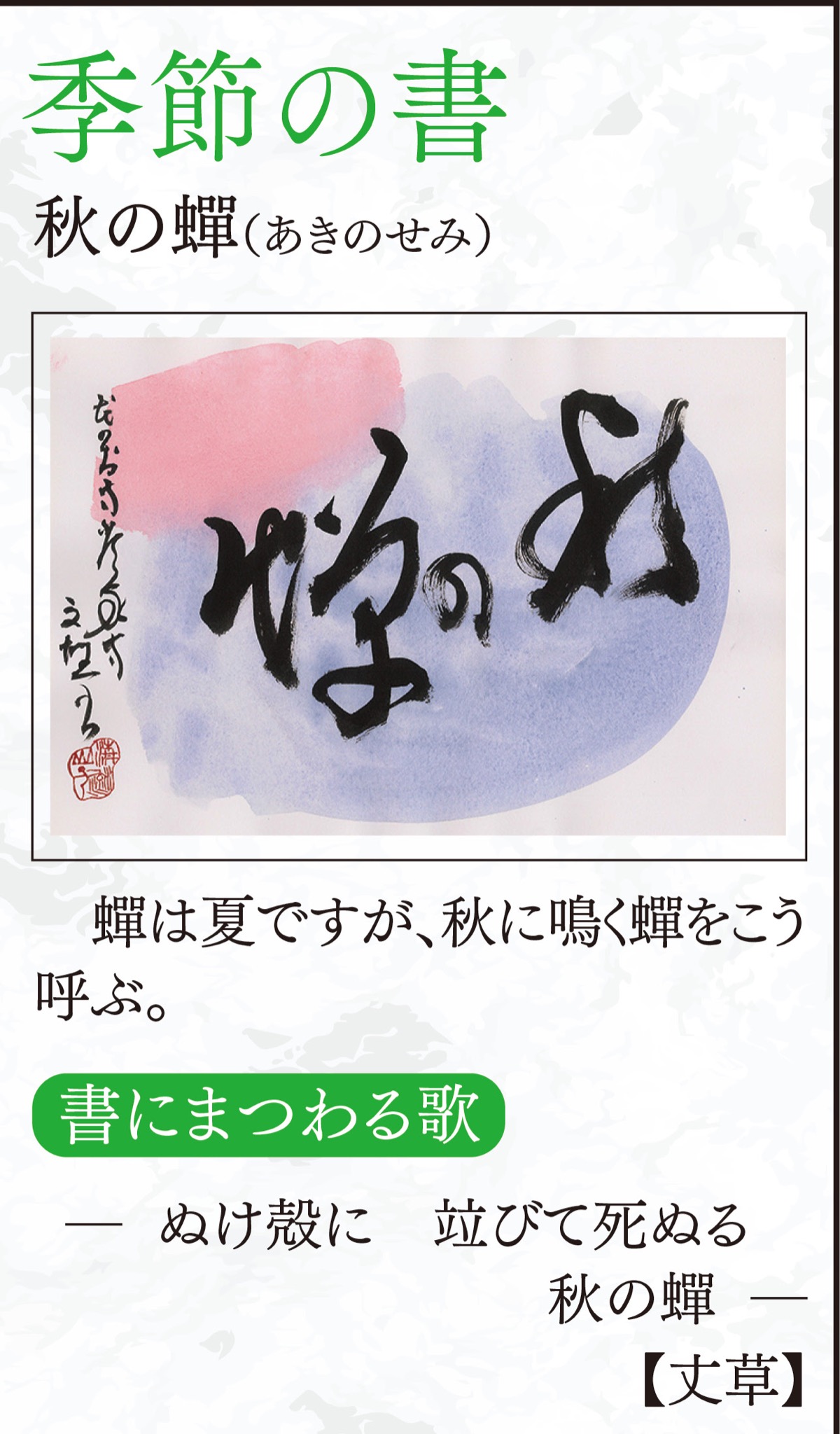 徒然想（つれづれそう）