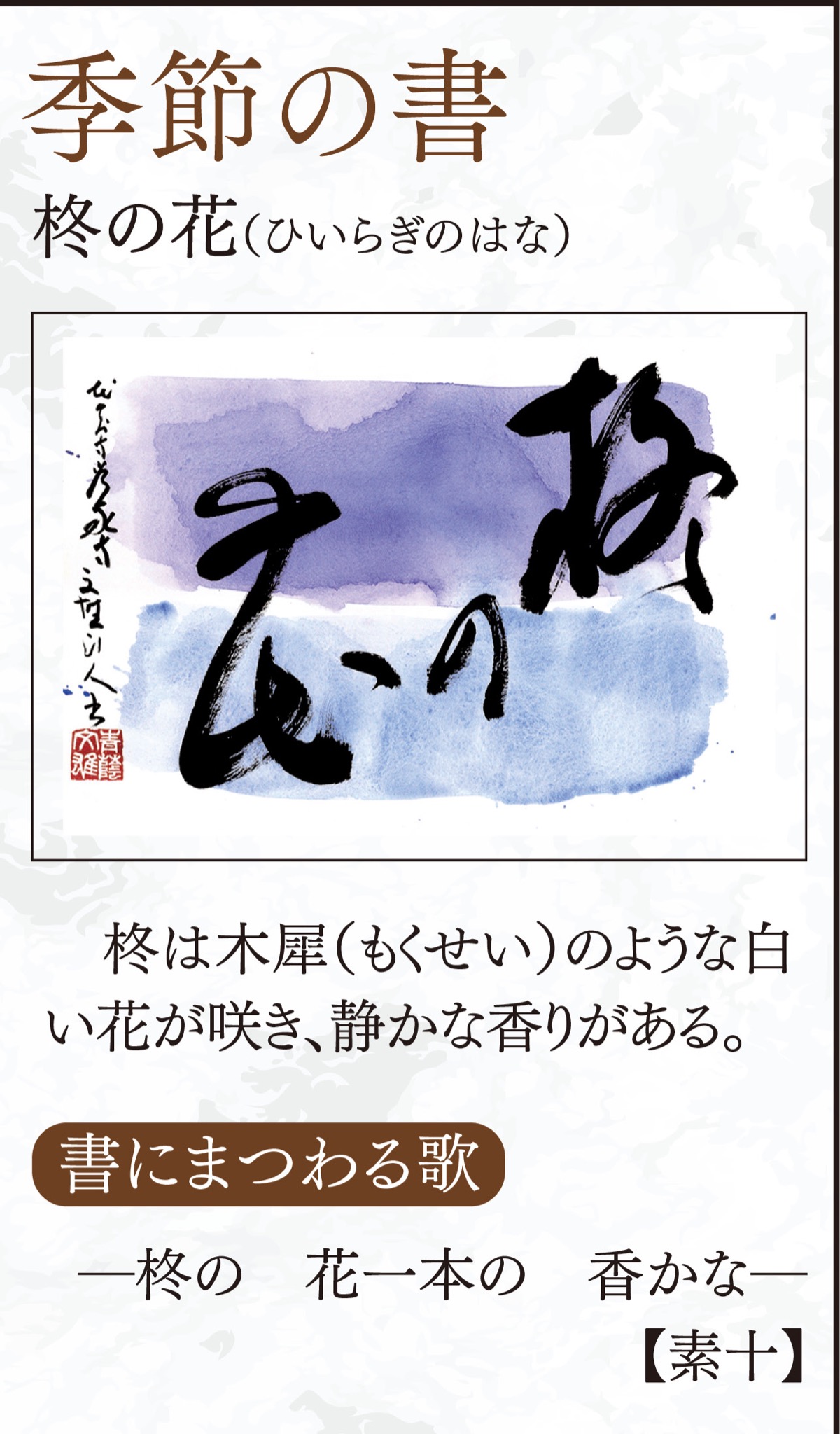 徒然想  連載272