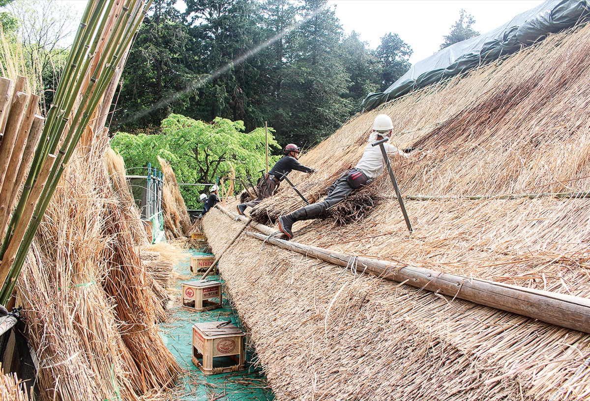 移築後初のお色直し 郷土民家園 旧小川家 大和 タウンニュース 移築後初のお色直し 郷土民家園 旧小川家 大和 タウンニュース