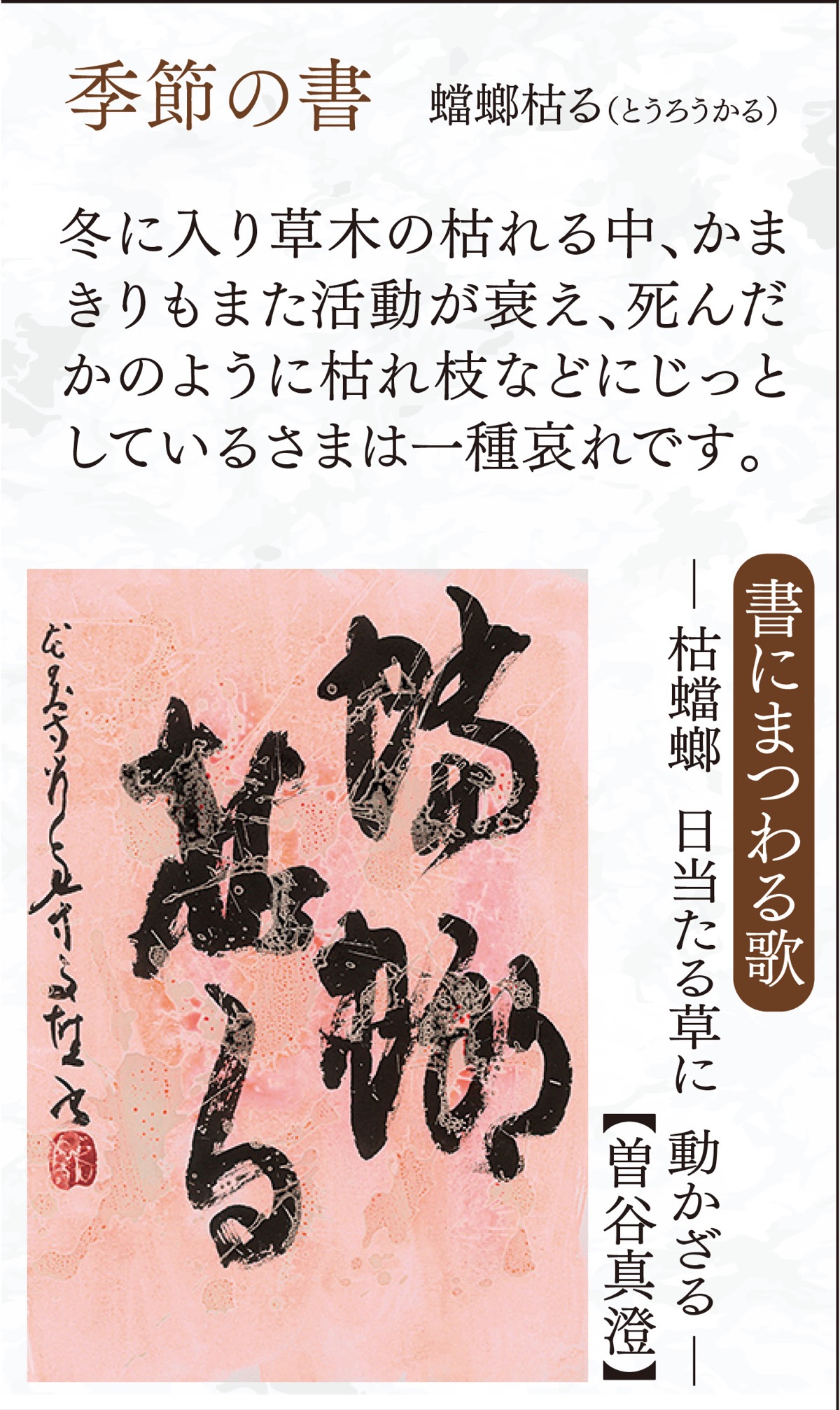 徒然想  連載284