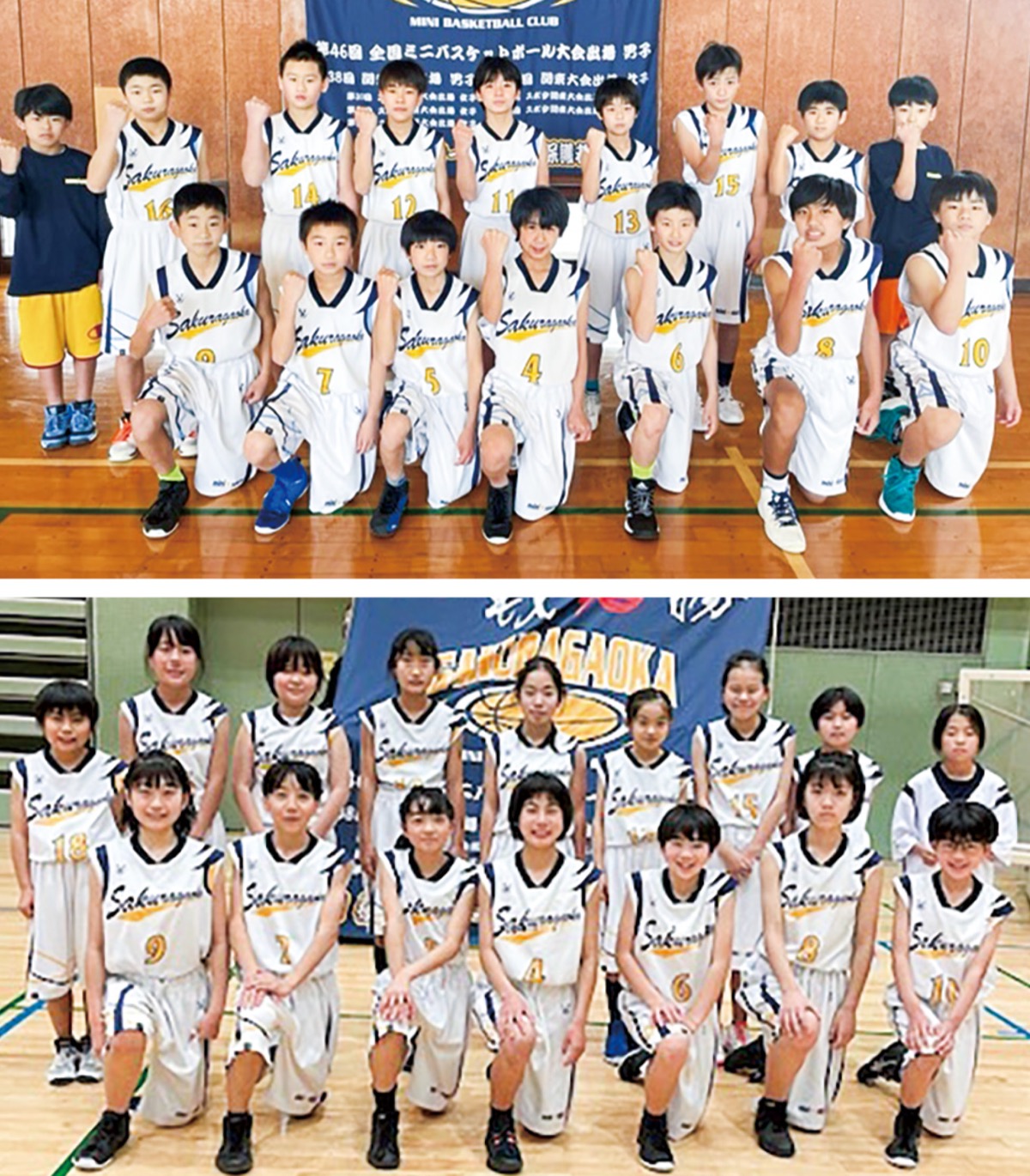 桜丘ミニスターズ 男女揃って関東出場 チーム20周年に華添える | 大和 | タウンニュース