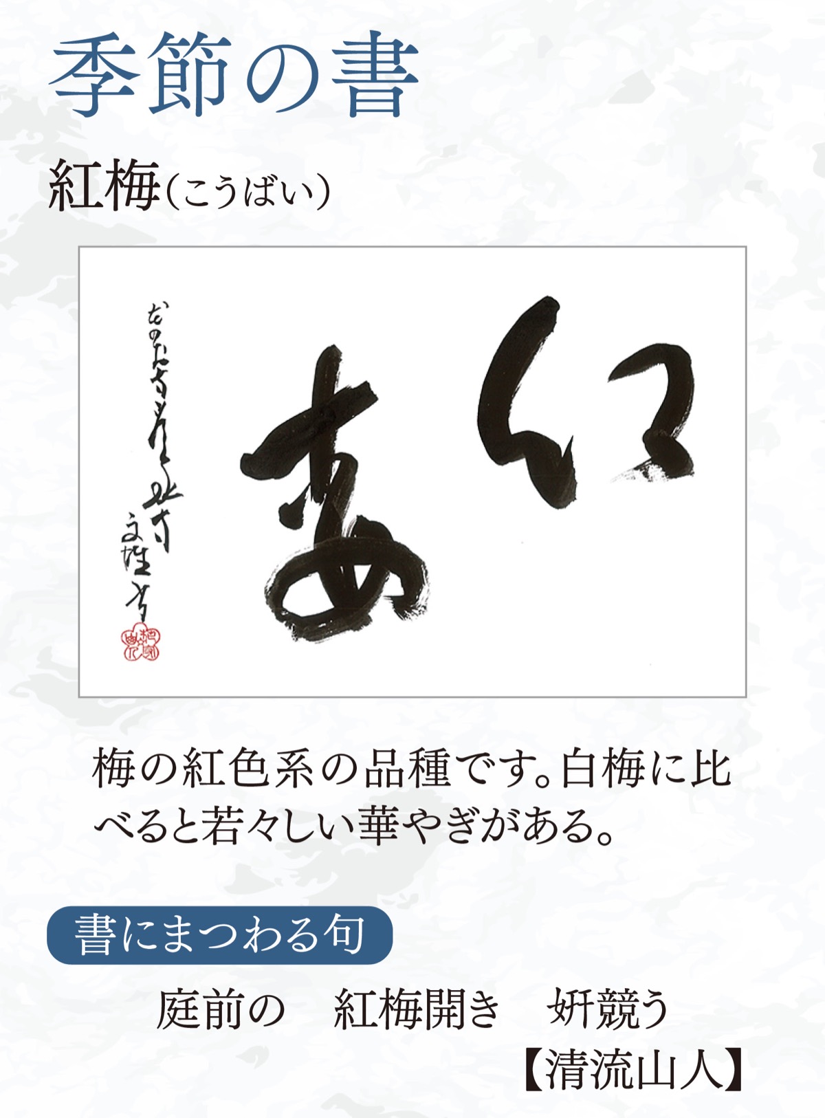 徒然想  連載311