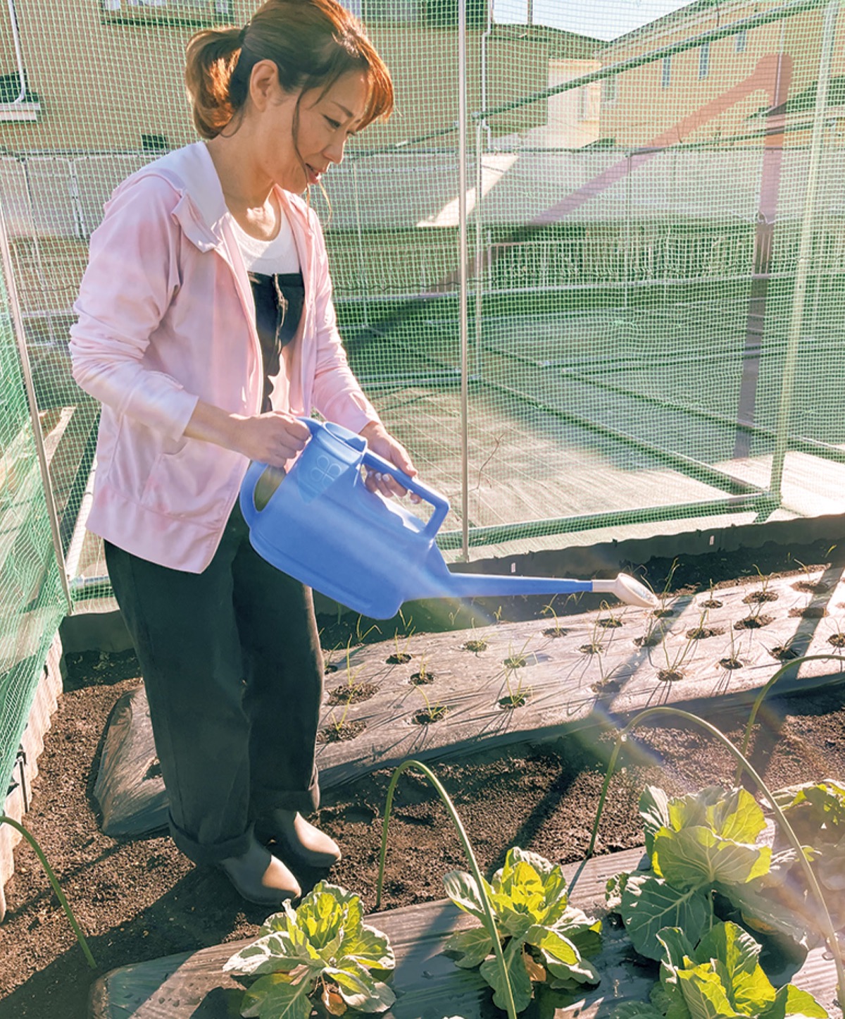楽しく野菜作りはいかが？