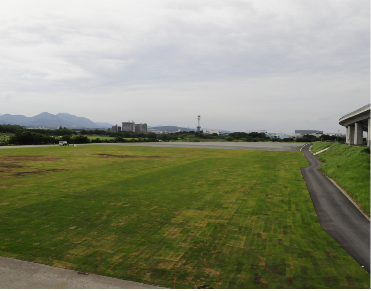 時間を経るごとに青々と染まっていく