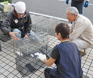 駅前商栄会が野良猫対策