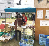 国分尼寺（にじ）跡で朝市開催