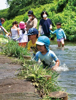 三川公園に流れる川で遊ぶ子どもたち(８月４日撮影)
