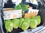 車いっぱいに積まれた野菜