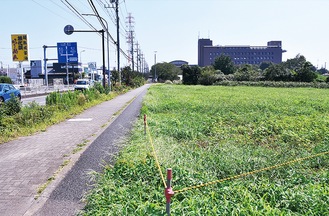 県道に面した建設予定地の北端。右上は綾瀬市役所