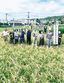 稲を収穫する参加者たち
