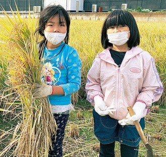 収穫した稲を持つ参加者