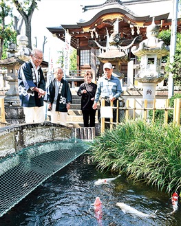境内の池で鯉に餌をやる加藤さん夫妻（右）