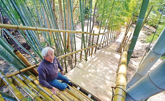 「ロープ滑り」を設置する予定の坂と澁谷代表